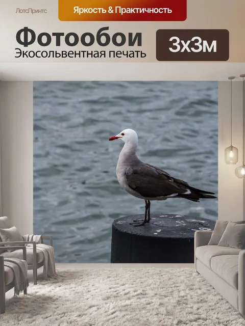Фотообои чайка