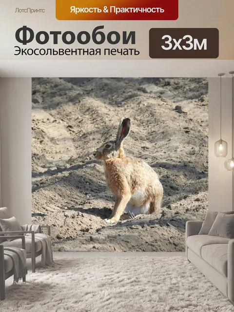 Фотообои Заяц-беляк