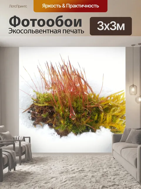 Фотообои Мох