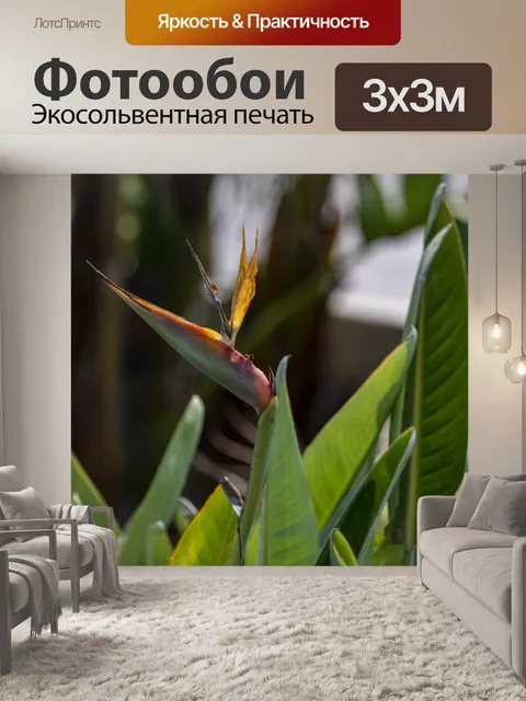 Фотообои Райская птица цветок