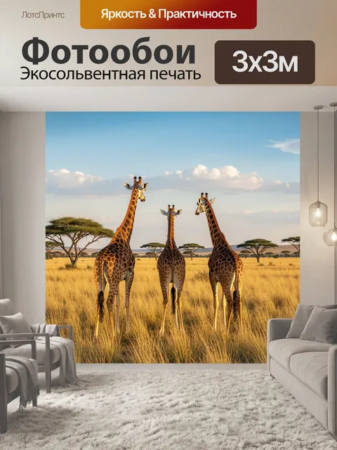 300 × 300 см · Экосольвентная печать