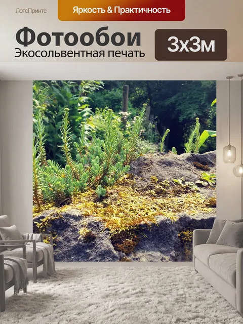 Фотообои Задний план