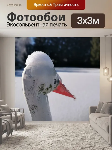 Фотообои Аист