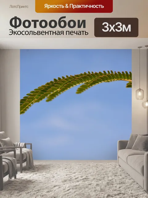 Фотообои Лист