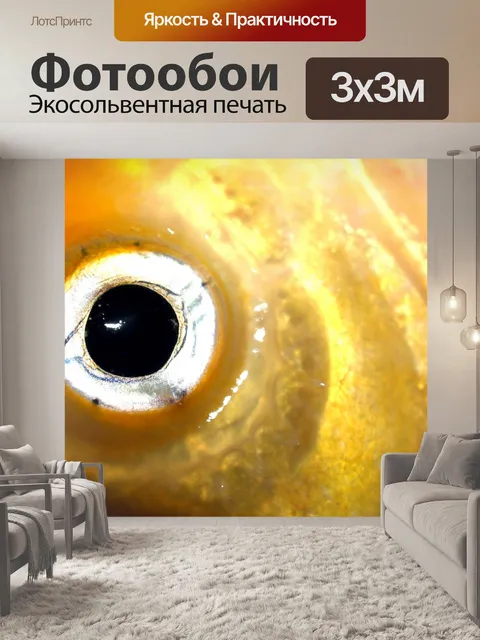 Фотообои Пресноводная рыба фото