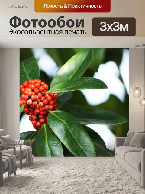Фотообои Ягода