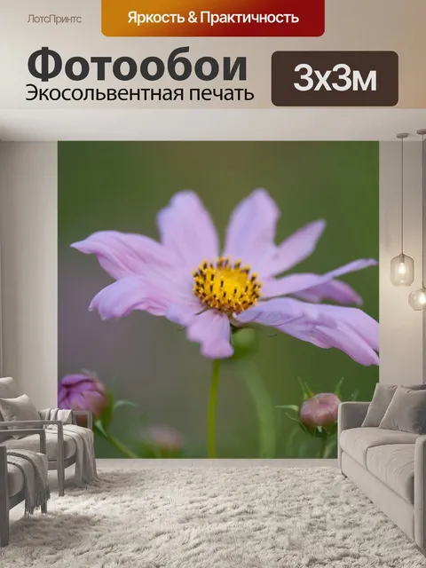 Фотообои Летние цветы