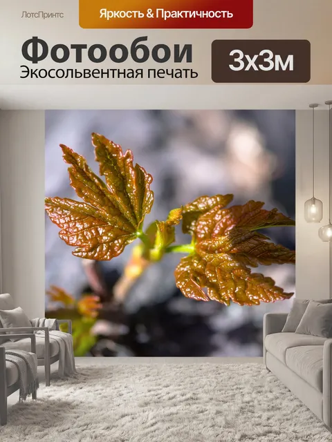 Фотообои Листья