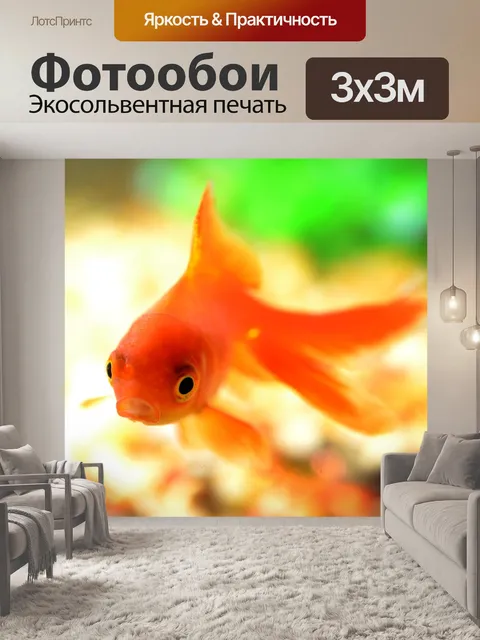 Фотообои Рыбы
