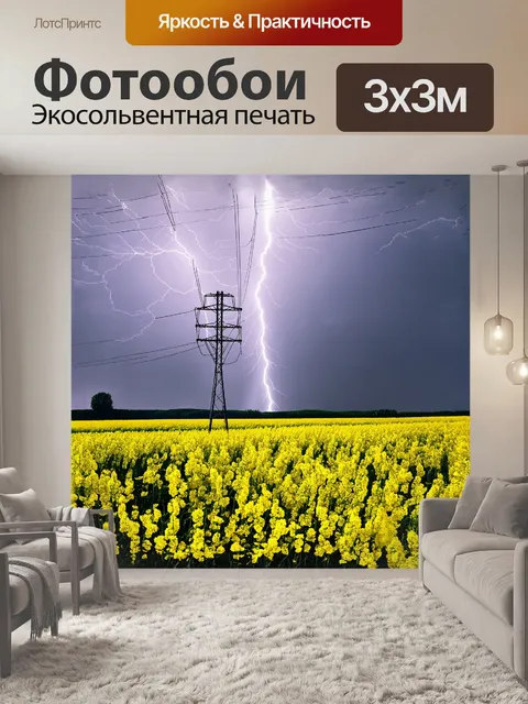 Фотообои прямо у подножия высокой лэп расположено широкое поле рапса