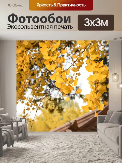 Фотообои Гинкго дерево