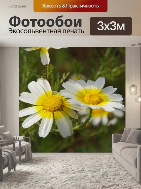 Фотообои Желтые ромашки на греческом острове