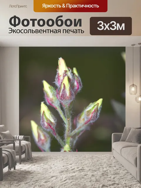 Фотообои Листья