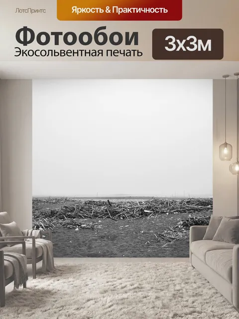 Фотообои Туман