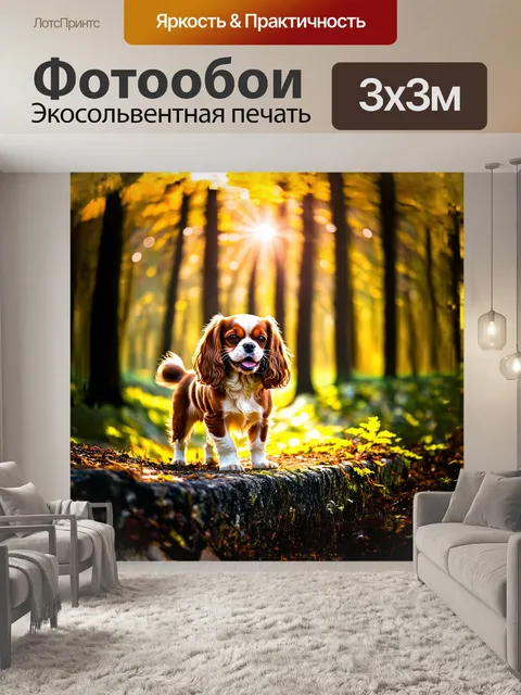 Фотообои кавалер кинг чарльз спаниель стоит на краю массива леса, излучая свою жизнерадостность