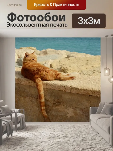 Фотообои Кошка