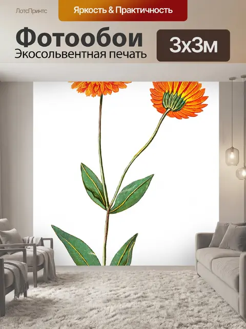 Фотообои Цветы клипарт графический рисунок