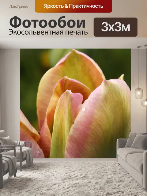 Фотообои Тюльпан