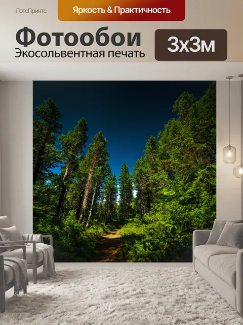 Фотообои лес с прекрасными пейзажами и небом в тёмно-синем цвете