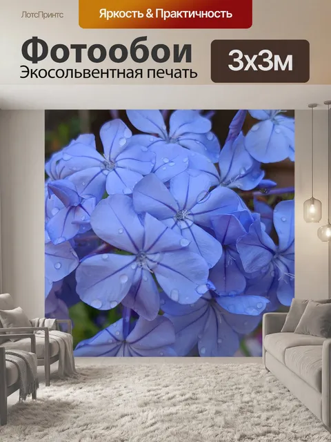 Фотообои Цветы