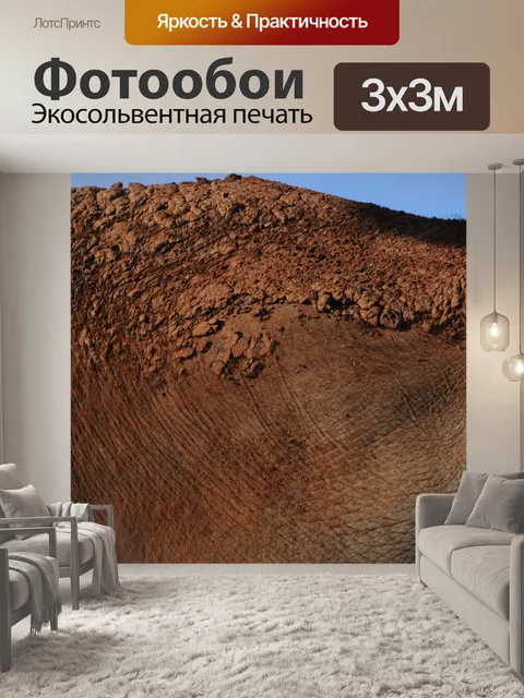 Фотообои Слон Фон кожи