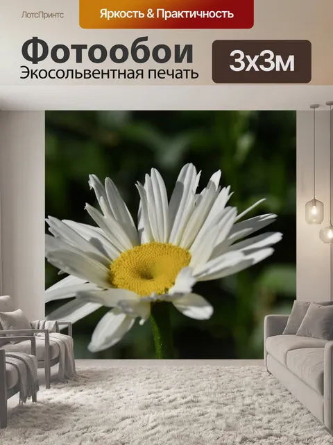 Фотообои Цветок
