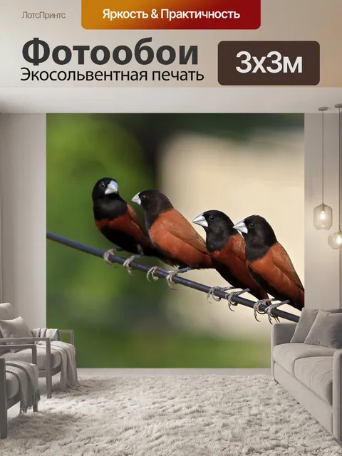 Фотообои Птицы