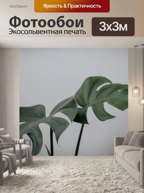 Фотообои Монстера растение