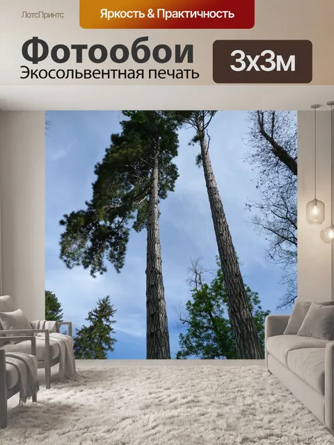 Фотообои Деревья