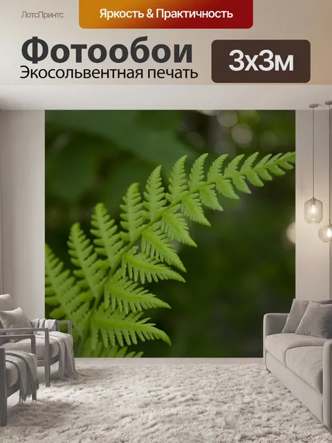 Фотообои Папоротник