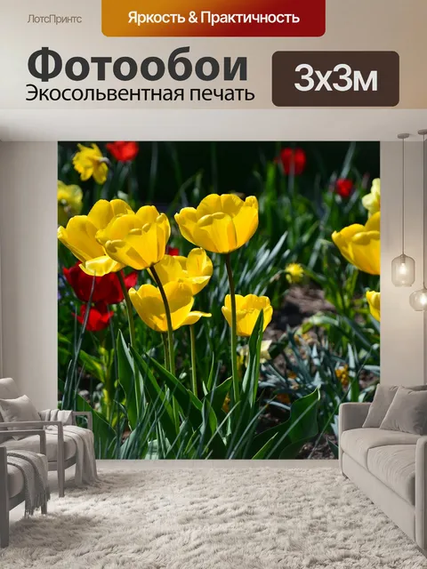 Фотообои Тюльпаны