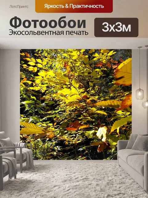 Фотообои Разноцветные листья деревьев