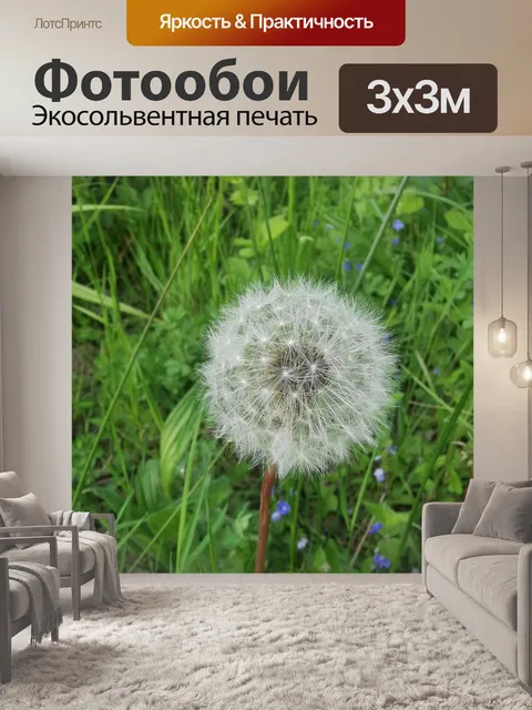 Фотообои Одуванчик
