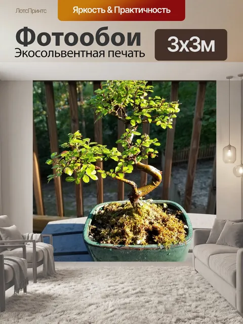Фотообои Дерево