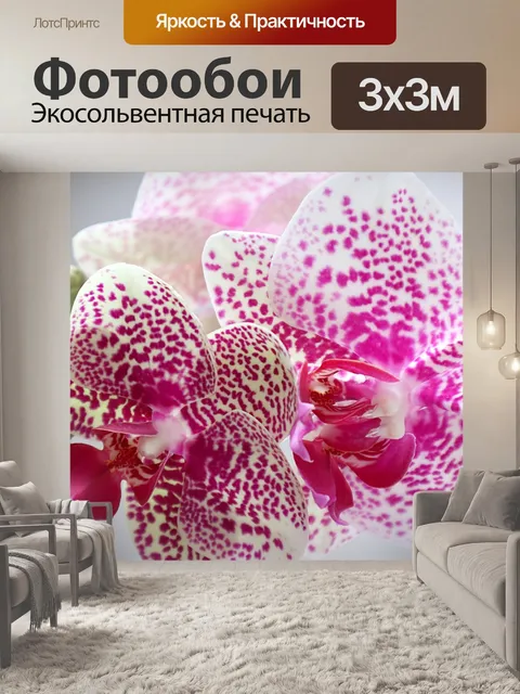Фотообои Орхидея