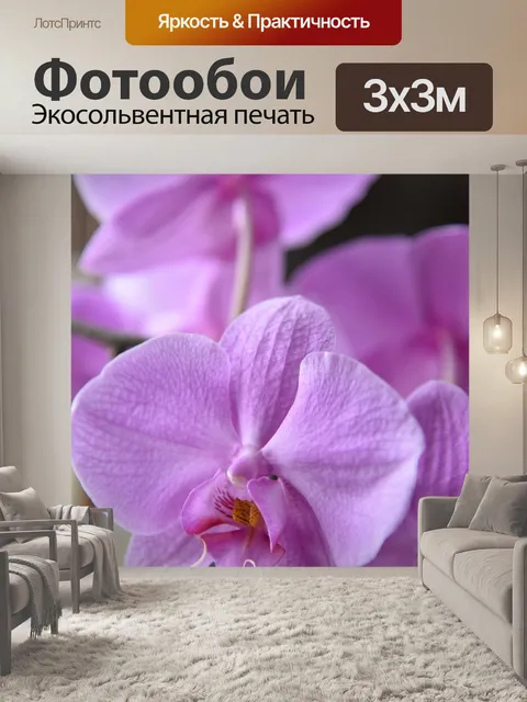 Фотообои Орхидеи
