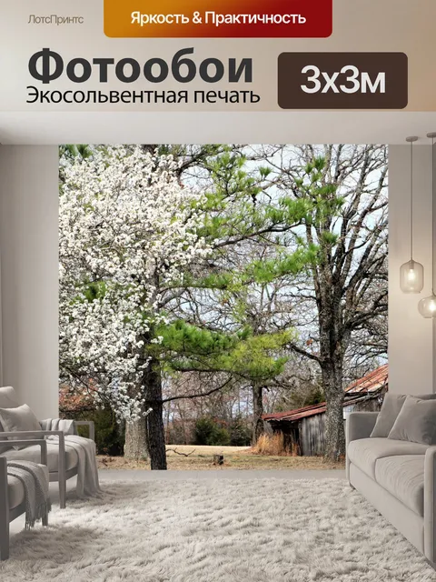 Фотообои Заброшенный Сарай весной