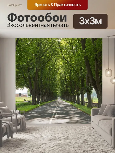 Фотообои Старая аллея