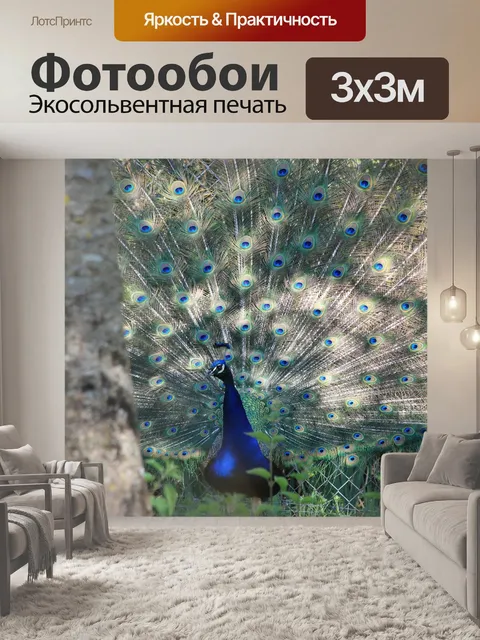 Фотообои Павлин