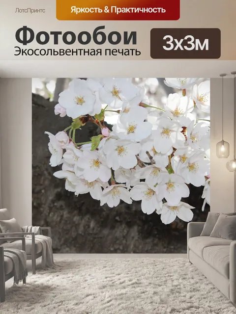 Фотообои Сакура вишни в цвету