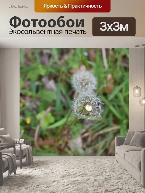 Фотообои Весна