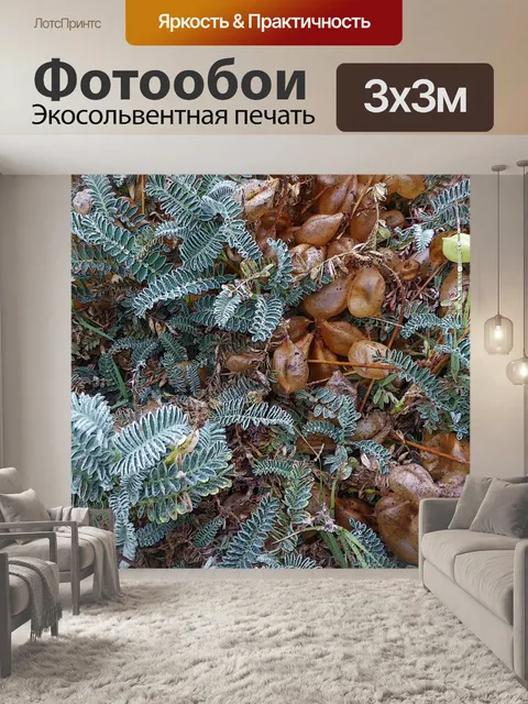 Фотообои Фон пляжный завод