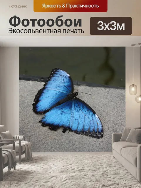 Фотообои Бабочка