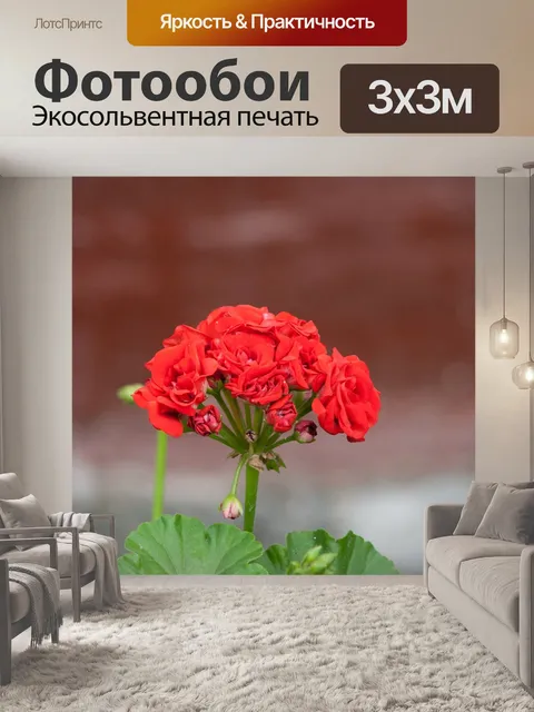 Фотообои Мини-розы