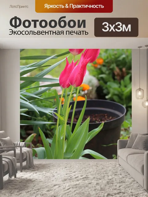 Фотообои Пурпурный