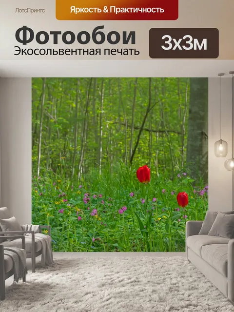 Фотообои Тюльпан
