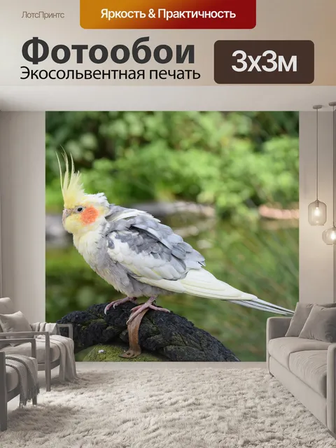 Фотообои Птица