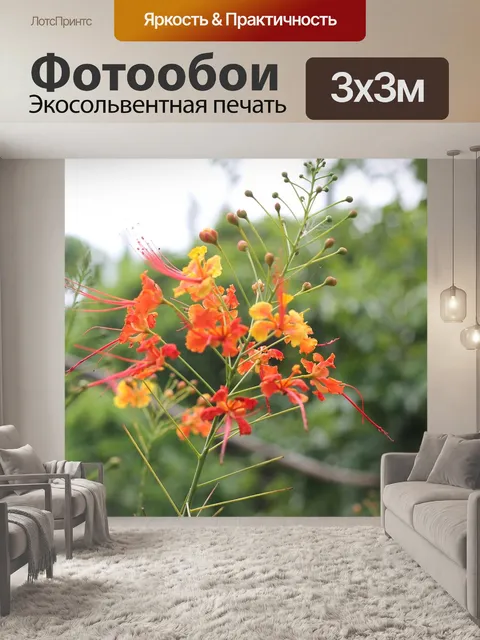 Фотообои Дерево