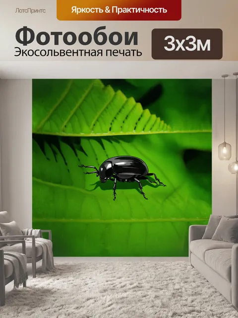 Фотообои минималистичный цифровой рисунок жука