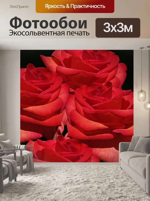 Фотообои Розы
